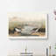 Spotted Sandpiper Birds by John Audubon - Wrapped Canvas-55330400
