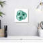 Aletra Neon Nautilus Trio-109368888