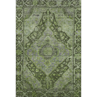 Premium Machine Washable Lubbers AMF1761 Border Rug
