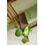 Shelf Cesaro 90x170cm