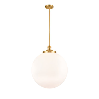 Luminaire suspendu simple à 1 lumière Frederick