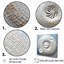 Coquillage argenté tourbillonnant - Nautilus, impressions encadrées-1913214819-1913214812