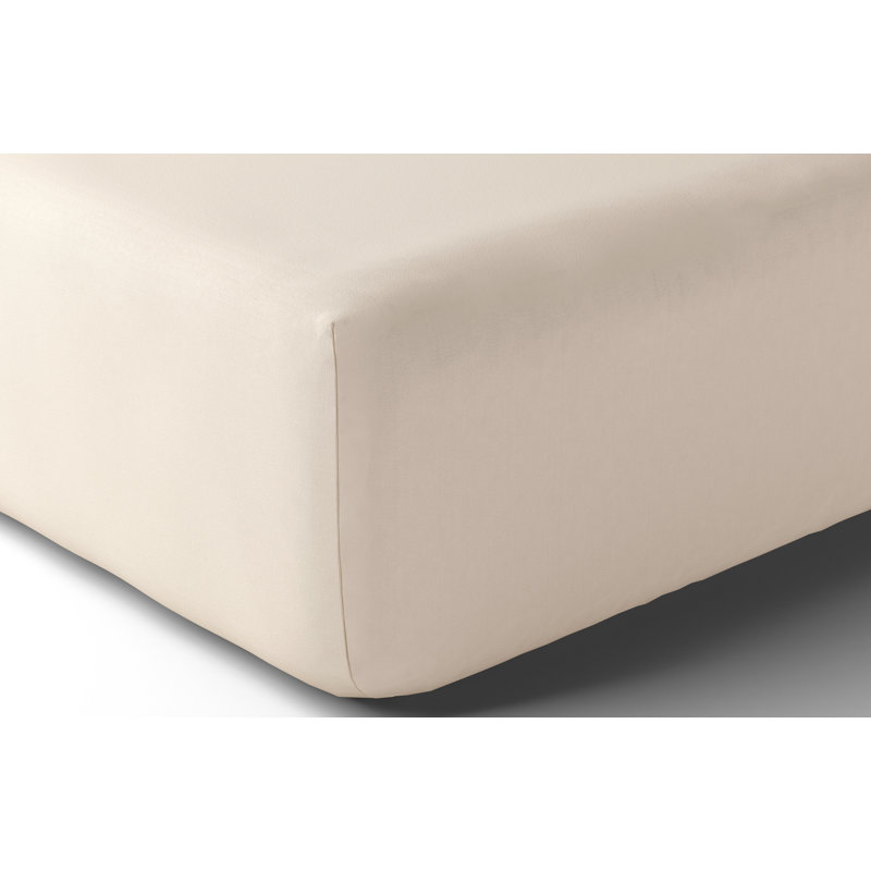 Vexin Coco Queen Fitted Sheet, Queen, Coco