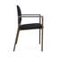 Chaise d'invité Chat Chat-98671306-98881779