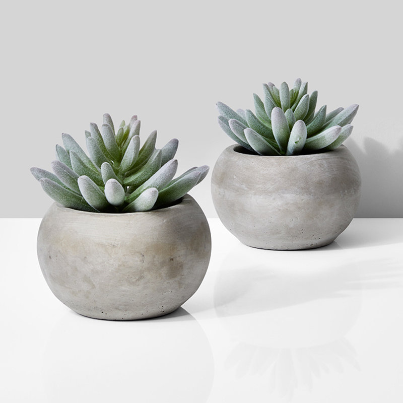 Faux Succulent in Cement Pot