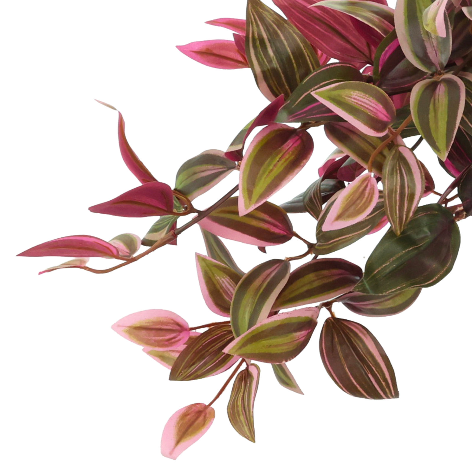 Karas Tradescantia Plant in Vase, Green/Red, 14"H x 26"W x 20"D