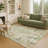 Machine Washable Indoor/Outdoor Chantille ACN2334 Floral Rug-2145916255