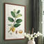 «Turpin Tropical Botanicals», reproduction encadrée en bois massif-1111365309-1111365311