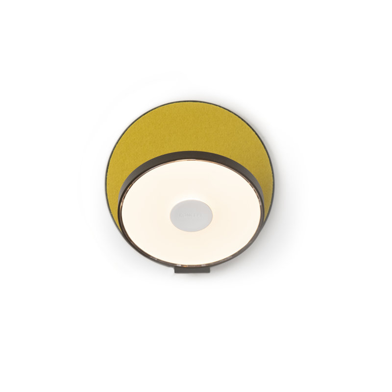 Gravy Plastic and Aluminium LED Plug-in Flush Mounted Sconce, Metallic Black/Honeydew