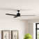 Ameeyah 52'' Ceiling Fan with LED Lights