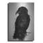 The Raven - impression sans cadre-2097503227