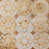 Beige/Brown