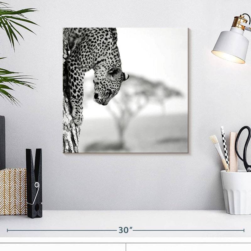 Leopard Descent, 16" H x 16" W