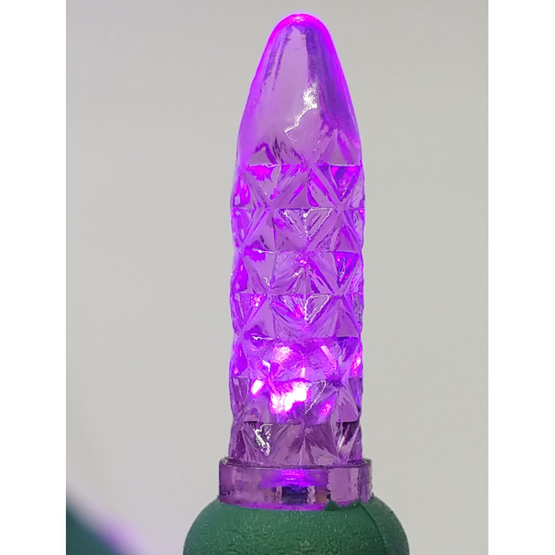 9.5'' LED String Lights, Purple