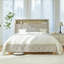 Eluid Tall Wingback Bed With Built-In Lighting and Power Outlets Storage High Headboard-106912857-106912861