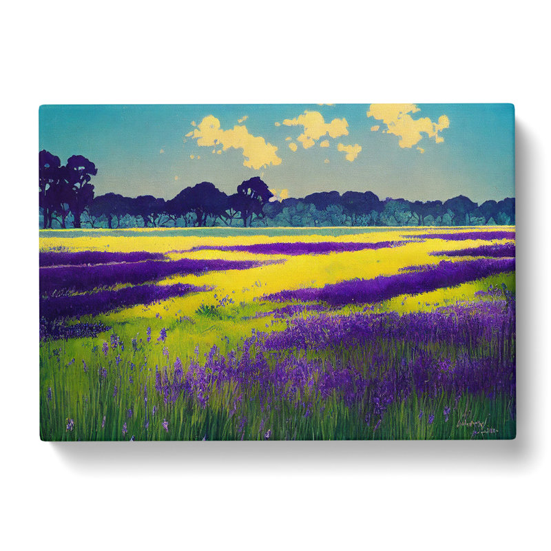 Placid Bluebell Field - Wrapped Canvas, 40cm H x 60cm W x 3cm D