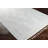 Oriental Indoor Rug-518731336