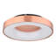 Caelab LED Flush Mount-1795546407-1795546404