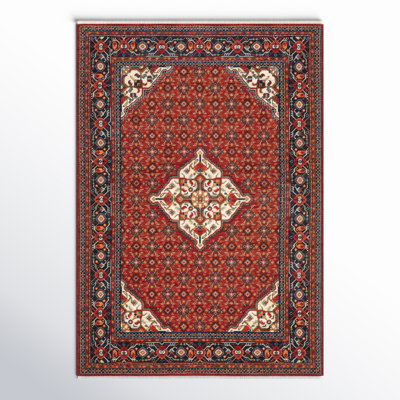 Collinsville Performance Oriental Indoor Rug