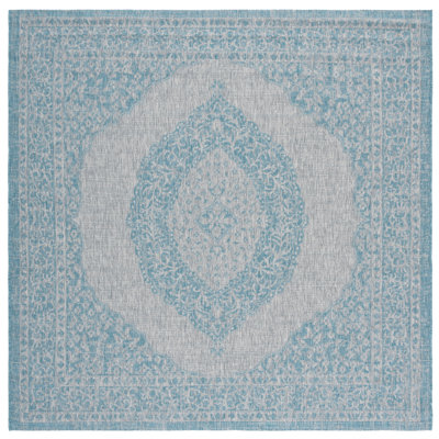 Amedee Performance Oriental Indoor/Outdoor Area Rug