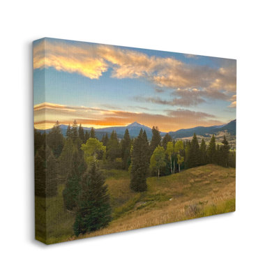 «Montana Sunset Forest Clearing Floater» par Emily Navas