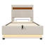 Lift Up Storage Bed Frame-1669381776-1669381791