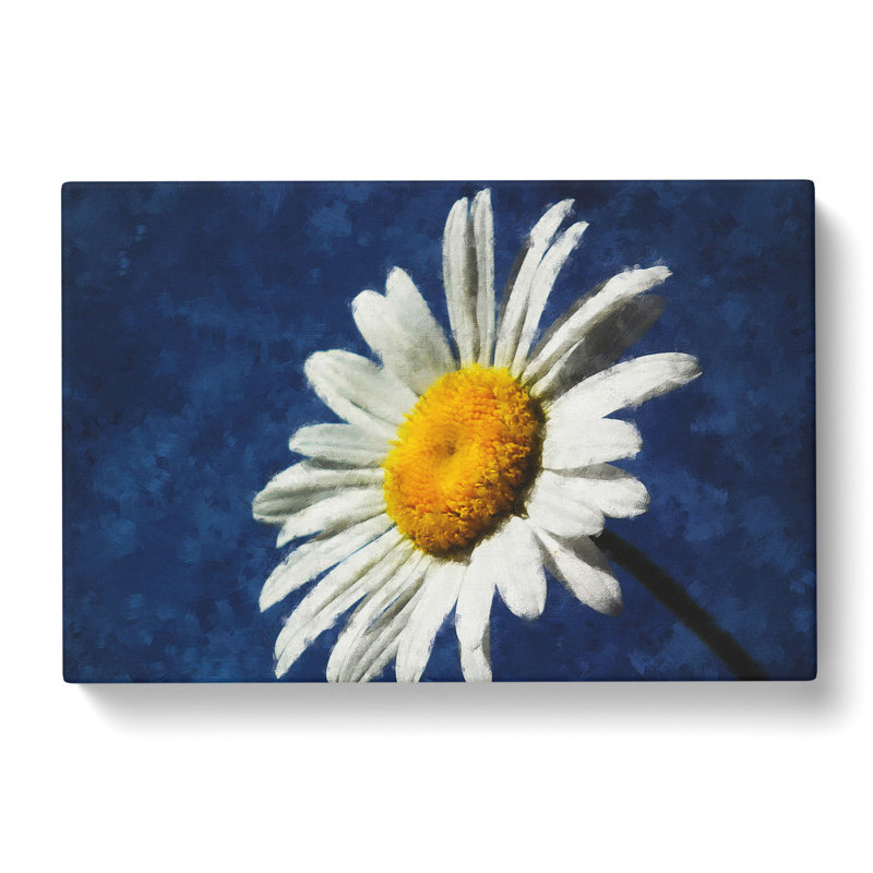 White Daisy Vol.5 - Wrapped Canvas Print, 40cm H x 60cm W x 3cm D