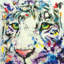 « white tiger », impression sur toile-20922144-73082571-73082580