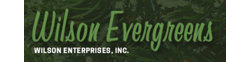 Wilson Enterprises, Inc. logo