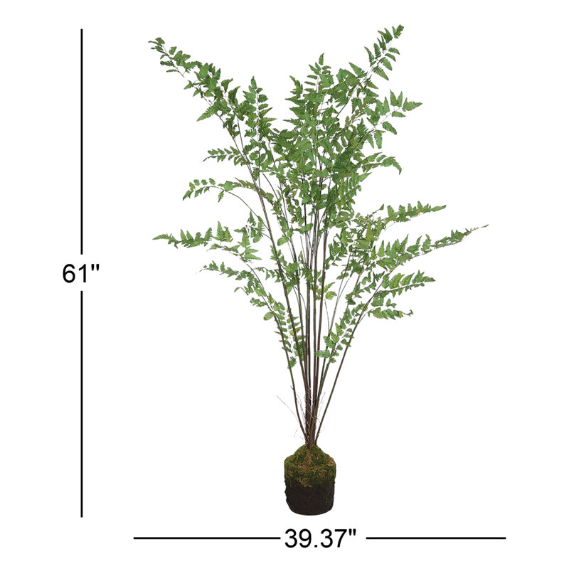 Plant