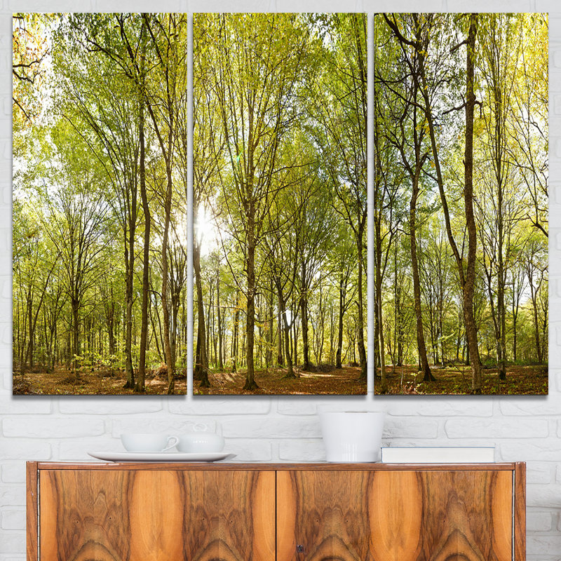 « green forest view »-ensemble de 3 impressions sur toiles tendues