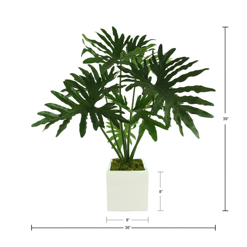 Organic Modern Faux Philodendron Plant