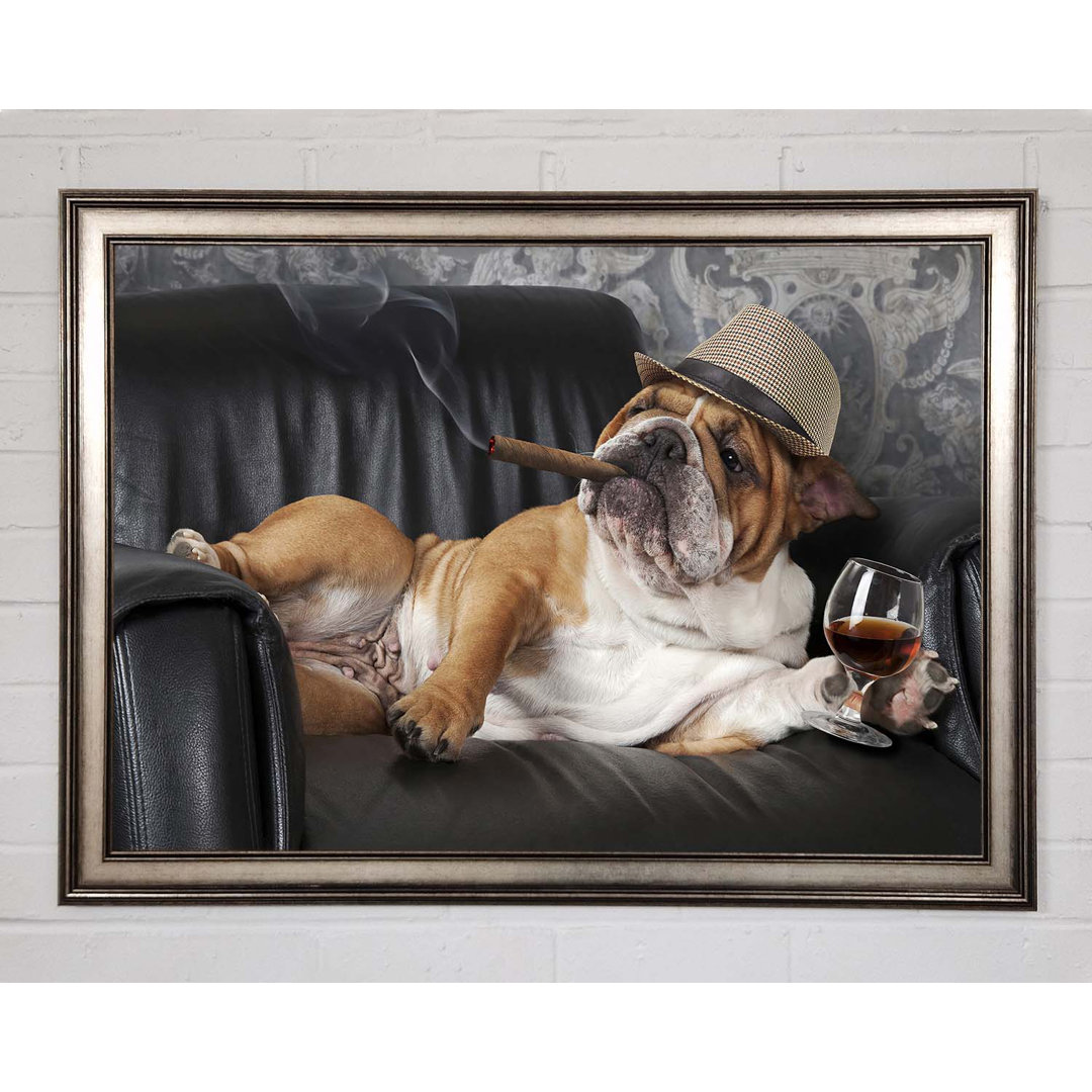 Britische Bulldogge Chillin - Einzelner Bilderrahmen Kunstdrucke