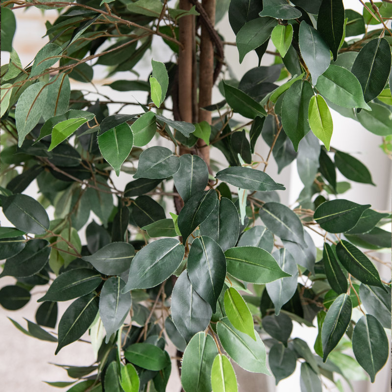 Faux ficus en pot, H 72,8 po x l 25 po x P 25 po