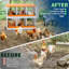 Nesting Boxes-526916801