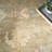 Nourison Thania 12' x 15' Charcoal Vintage Indoor Rug-1343579921