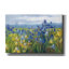 «Aaseem Blue and Yellow Flower Field on Canvas» par Carol Rowan, reproduction-1126919803