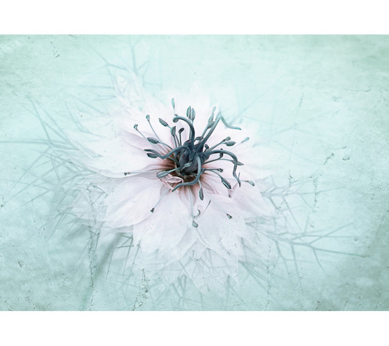 Wrapped Canvas Print, 60.96 cm H x 91.44 cm W