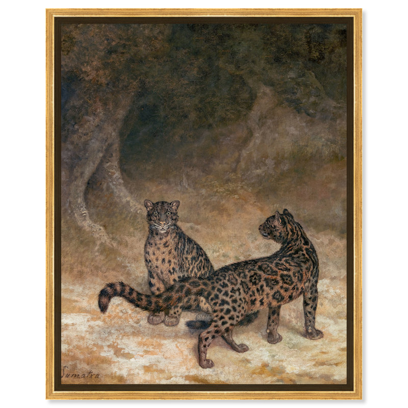 Animaux léopard par Jean Laurent Agasse - peinture sur toile, H 24 po x l 20 po, Toile avec cadre doré