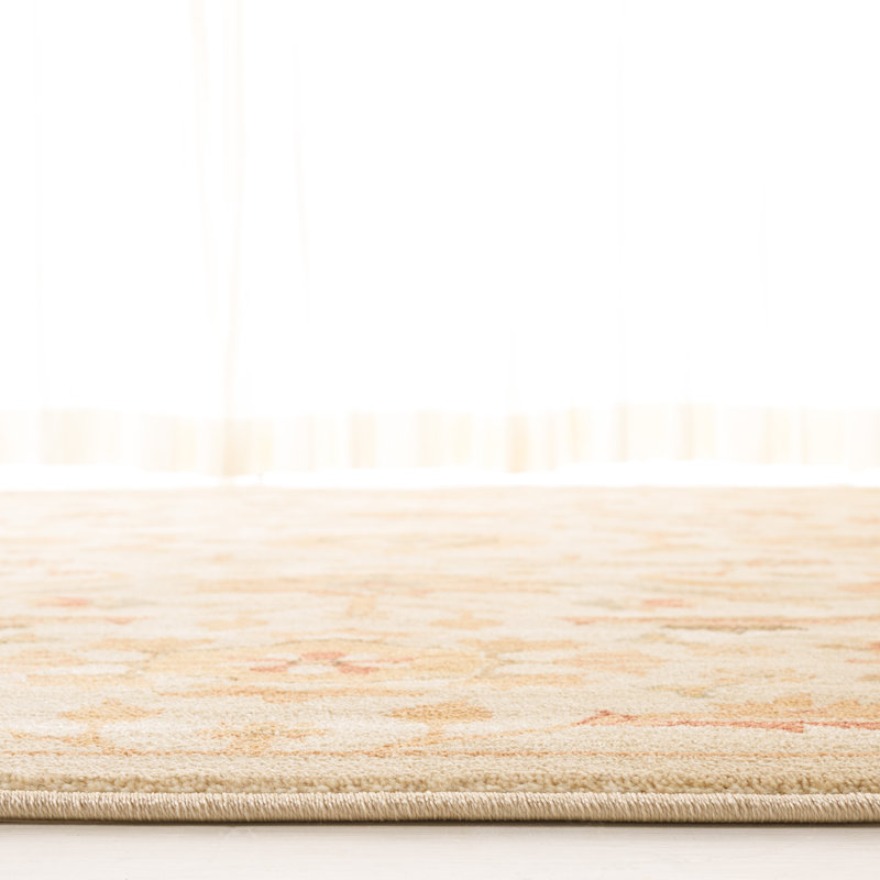 Floral Area Rug in Cream/Golden, Rectangle 5'1" x 7'6"
