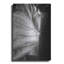 «Elephant Ear I» par Debra Van Swearingen-268529573