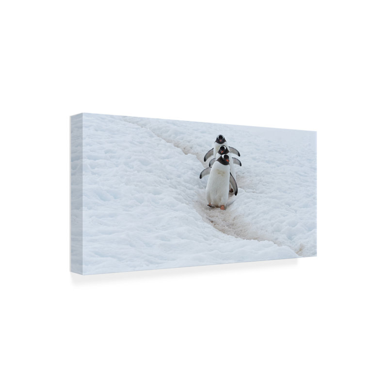 Art sur route, pingouin bolognaise bolognaise, H 16 po x l 32 po