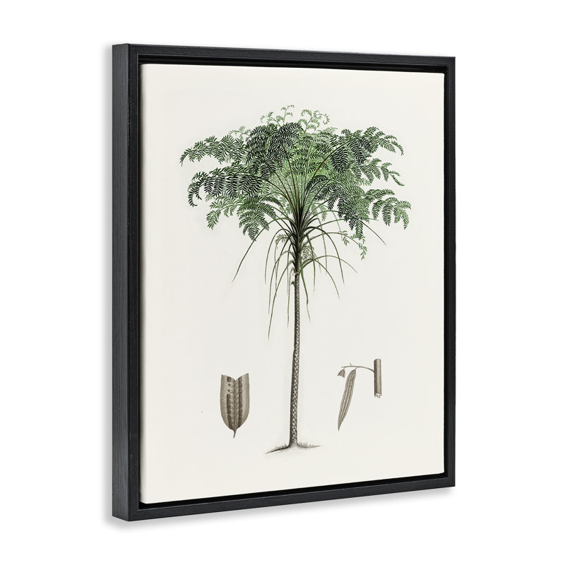 Cadre flottant rétro avec feuilles de palmier, design par Val Rhodes, H 21 po x l 17 po, Cadre flottant noir de jais
