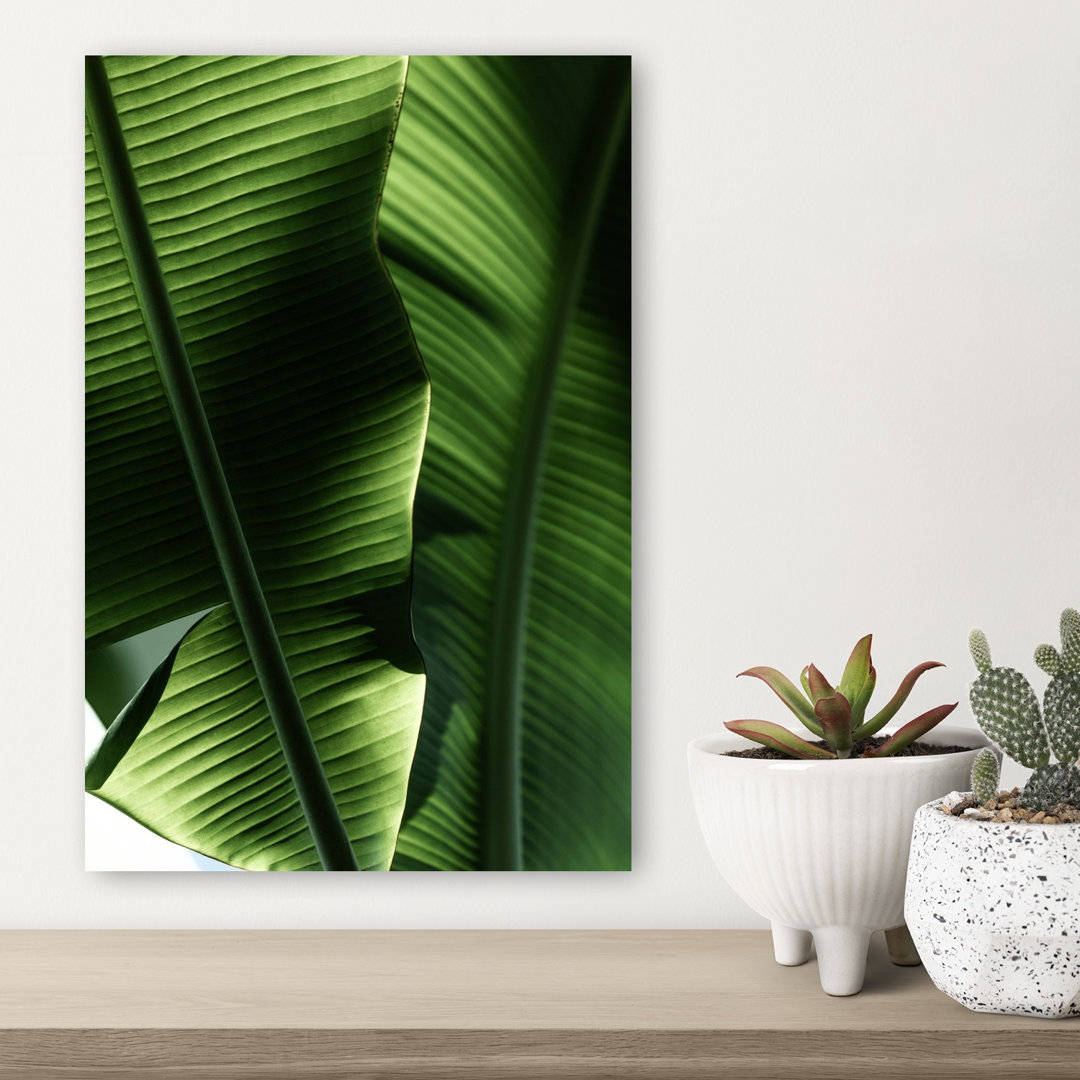 Sunlit Tropical Leaves Abstract Organic Vibrant Nature Plant Wall Art Print