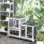 Wooden Rabbit Cage With Portable Wheels And Removable Agility Obstacle, Grey Secure Locking System,