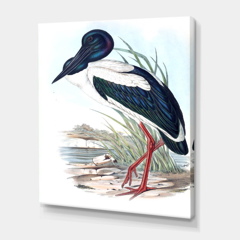 Oiseaux australiens rétro I - Impression sur toile, H 40 po x l 30 po x 1,5 po, Toile tendue