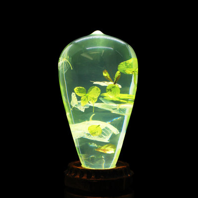 1.5 Watt (1 Watt Equivalent), ST64 LED, Non-Dimmable Light Bulb, Warm White (6000K) E26/Medium (Standard) Base