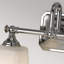 Backwoods 2 - Light Dimmable Vanity Light