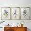 Lin bleu géranium - reproduction encadrée sur mesure de qualité supérieure mate - 3 pièces-1936444406