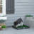 Cadence 2 Layer Dog Toilet Mat